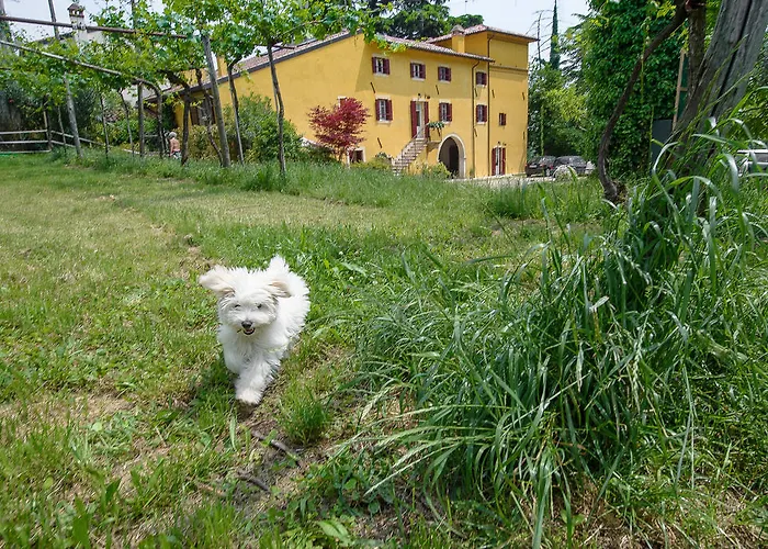 Panzió Corte Jago 4*